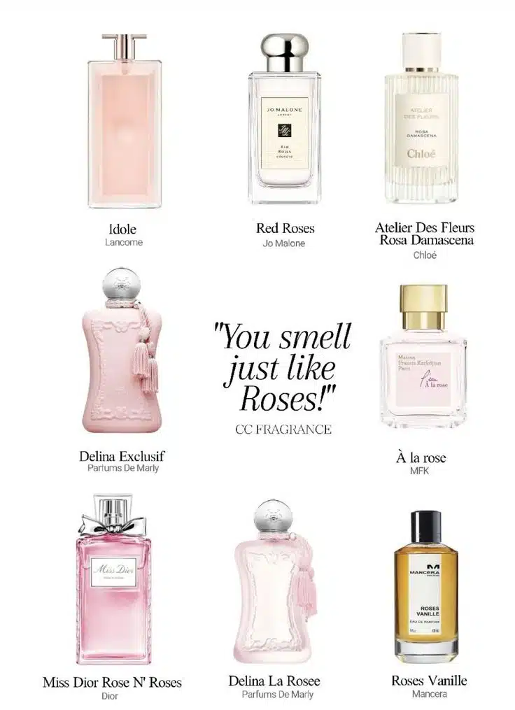 Top Perfume Picks for Women Work, Play, and Everything In Between