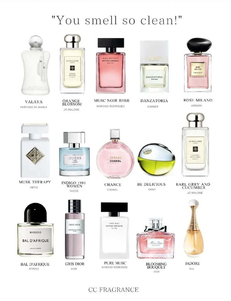 Top Perfume Picks for Women Work, Play, and Everything In Between