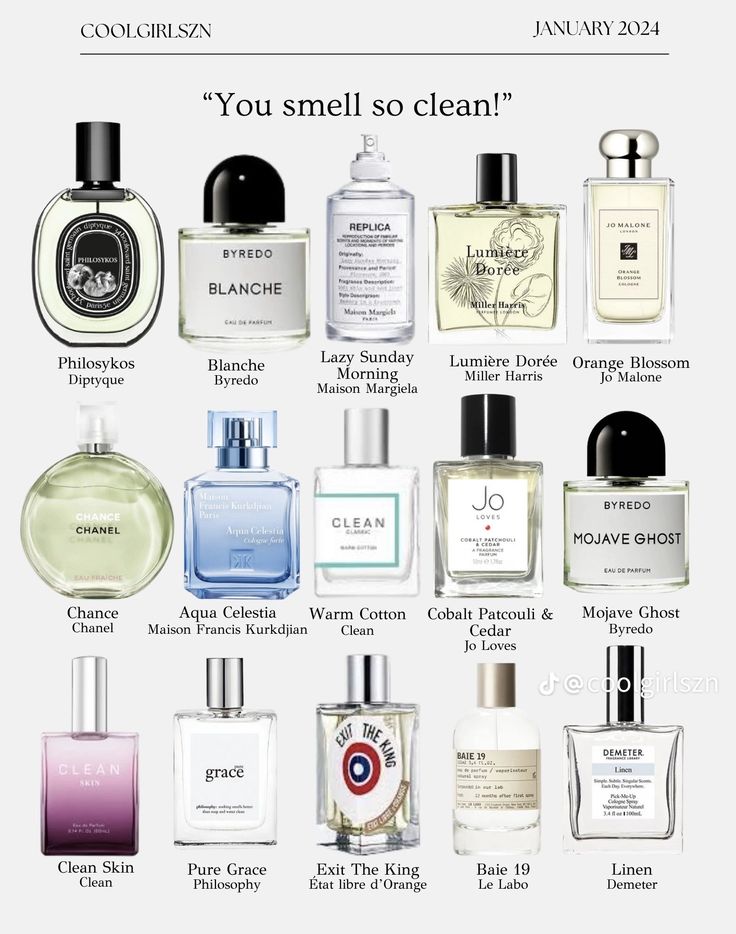 Top Perfume Picks for Women Work, Play, and Everything In Between