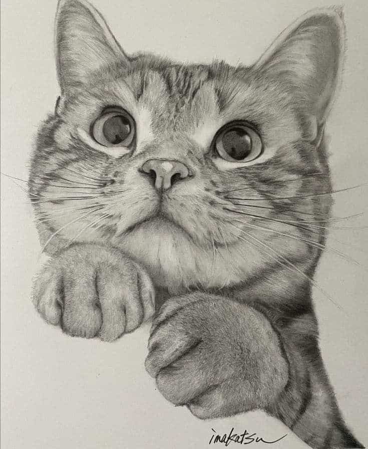 Easy cat art