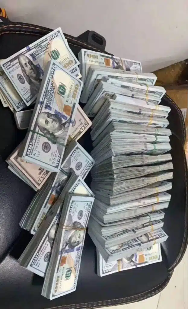 See What Holding a Million Dollars in Cash Really Looks Like!