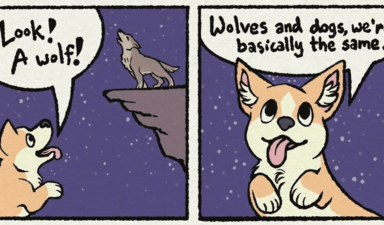 30 Great Comics By Artist Tiff Zhang That Touch On The Bond Between People And Dogs