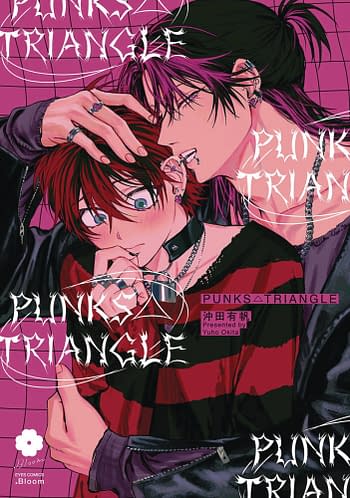 Cover image for PUNKS TRIANGLE GN (MR)