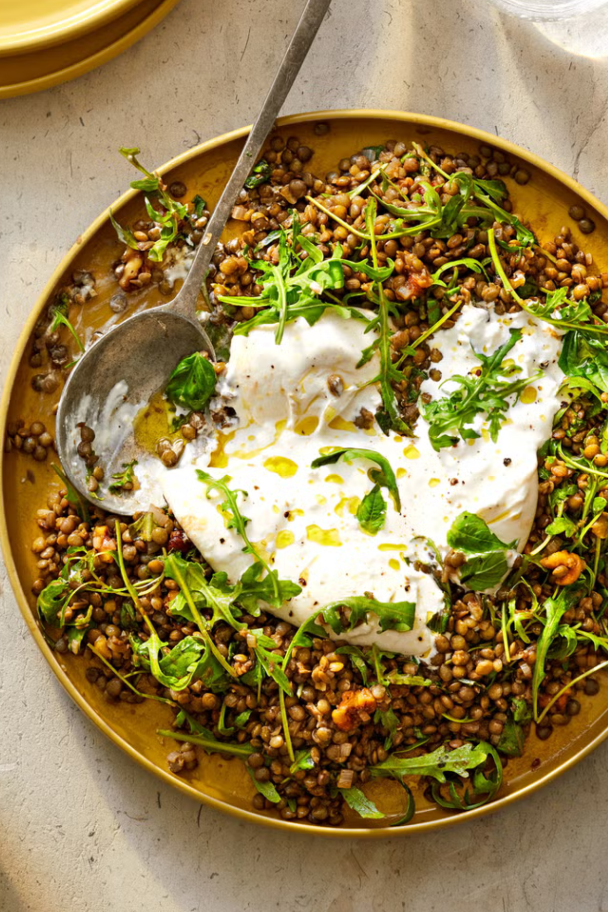 herby lentil and burrata salad