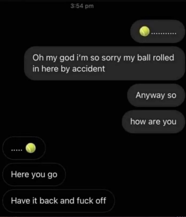 Text conversation with emojis: "Oh my god, I'm so sorry my ball rolled in here by accident. Anyway, so how are you?" Second reply: "Here you go. Have it back and [profanity]."