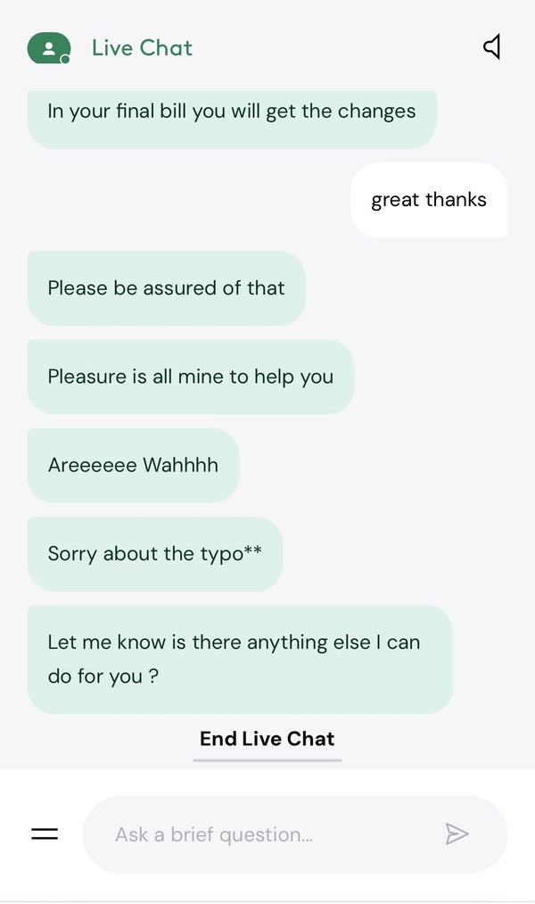 Screenshot of a live chat conversation with multiple typos from the support agent, ending with "Let me know is there anything else I can do for you?"