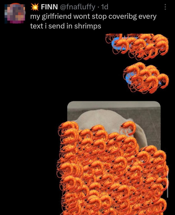 Social media post shows a message with a photo heavily covered in shrimp emojis. The text says, "my girlfriend won't stop covering every text I send in shrimps."