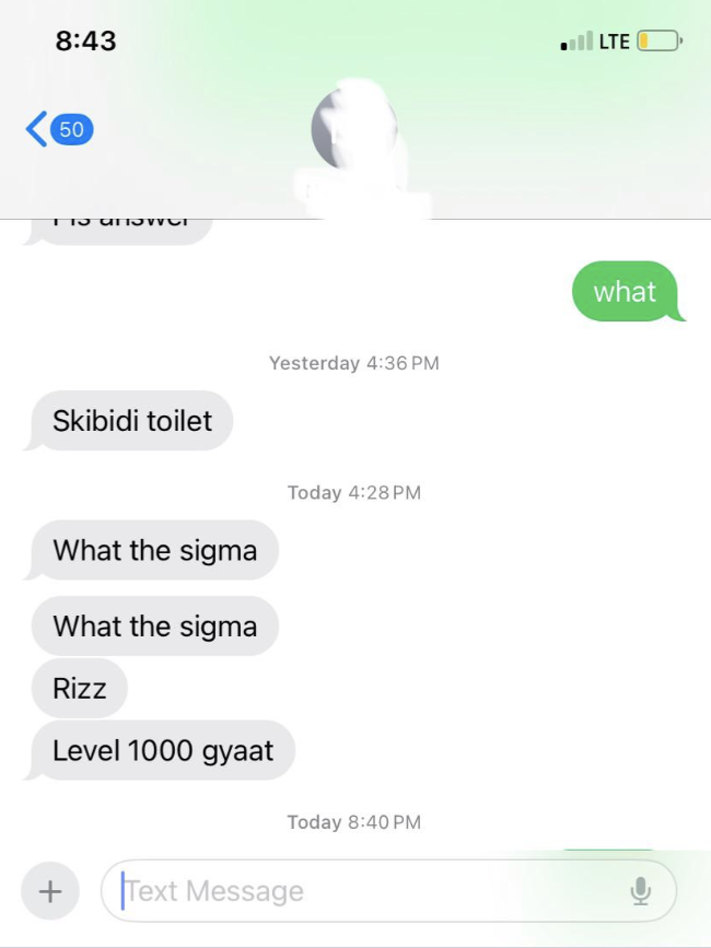 Screenshot of a text message conversation discussing "Skibidi toilet," "What the sigma," "Rizz," and "Level 1000 gyaat."