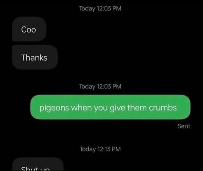 Text exchange joke: "Coo" - "Thanks," followed by "pigeons when you give them crumbs," and ending with "Shut up."