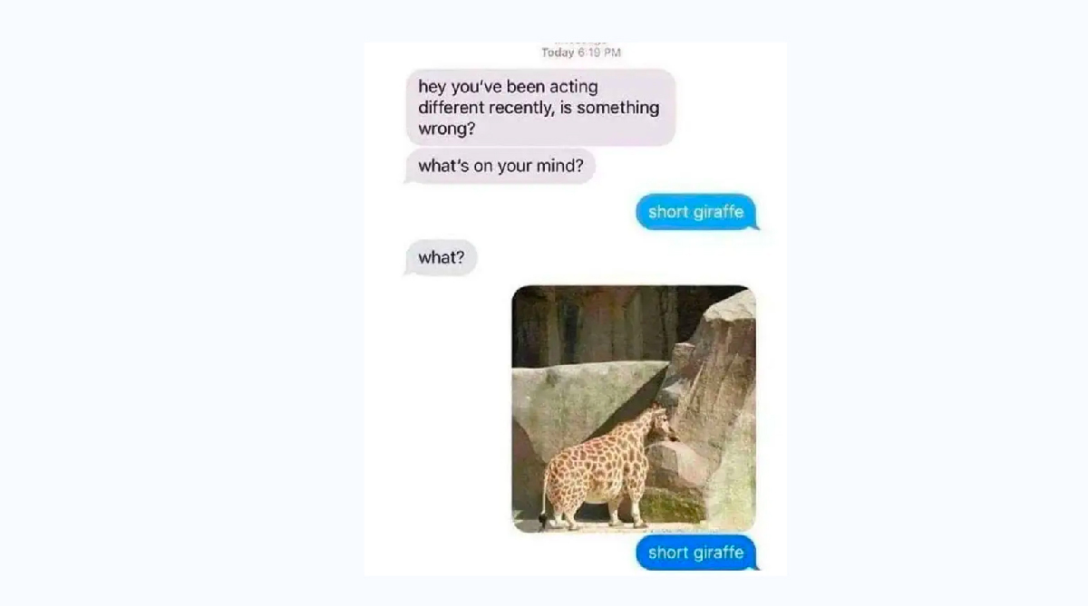 Funny Text message | smscountry