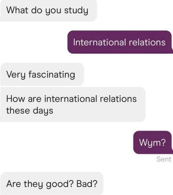 A text conversation where one person mentions they study international relations and the other asks how the field is currently, inquiring if it is good or bad