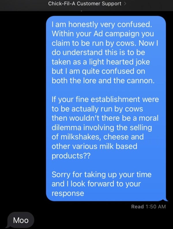 Text message exchange with customer support questioning a company's ad campaign about being run by cows. Ends with customer humorously responding "Moo"