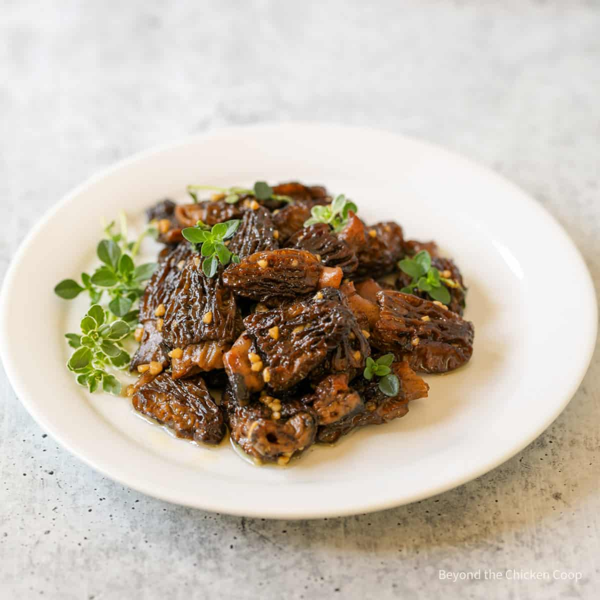 Sautéed Morel Mushrooms with Garlic Butter