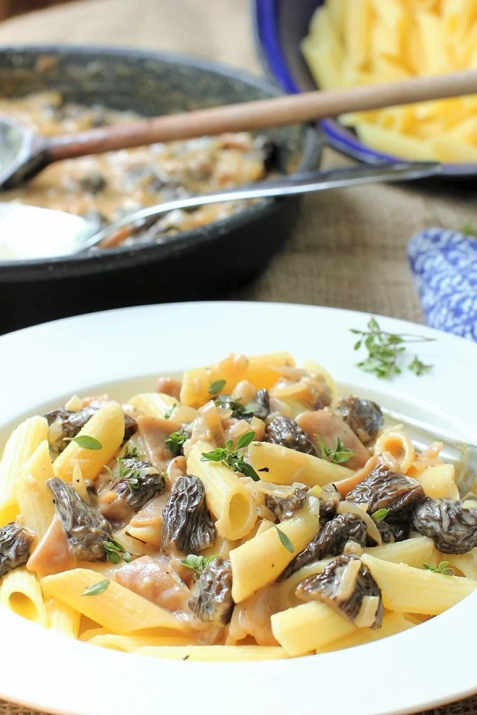 Creamy Morel Mushroom Pasta