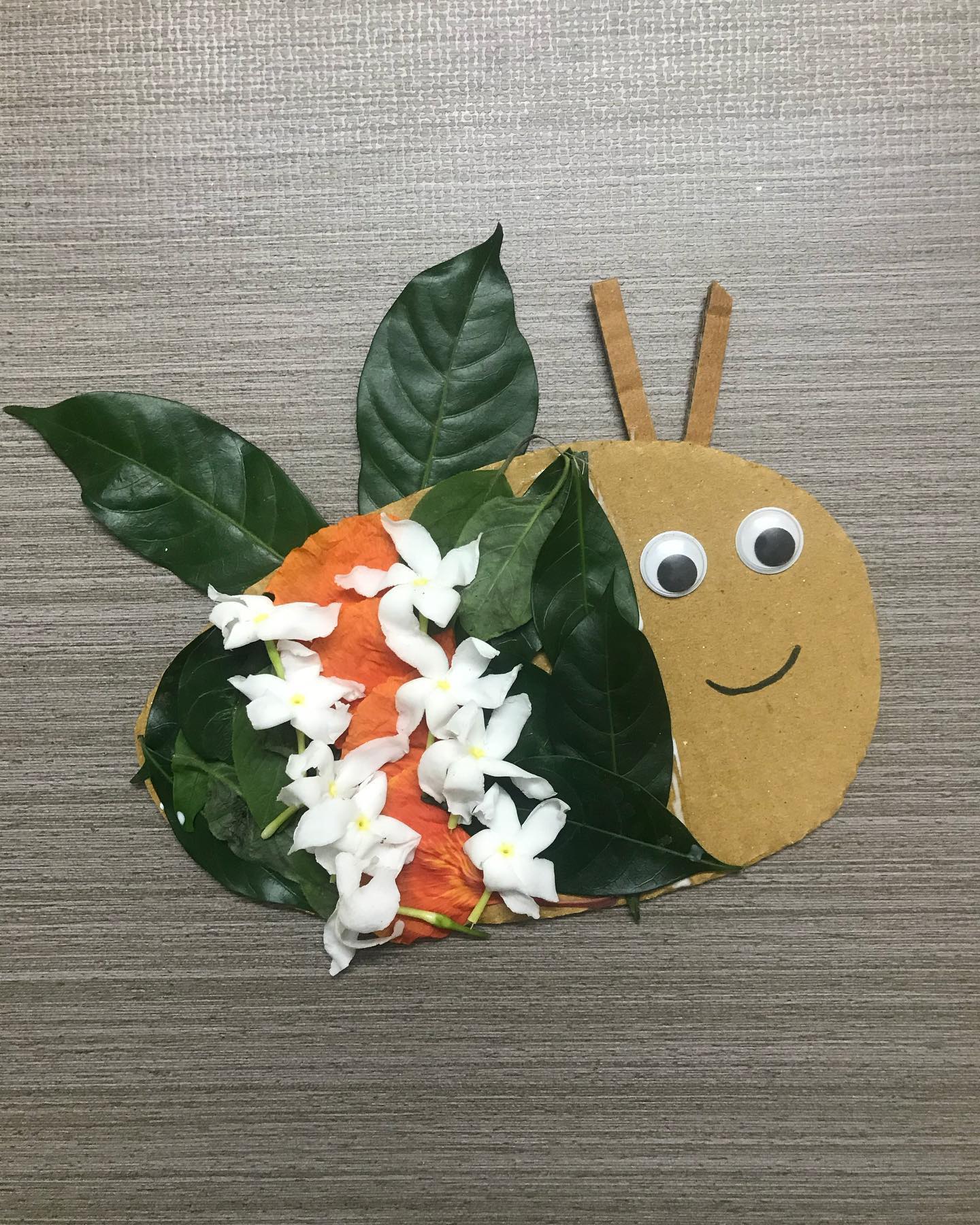 Cardboard Bug Craft