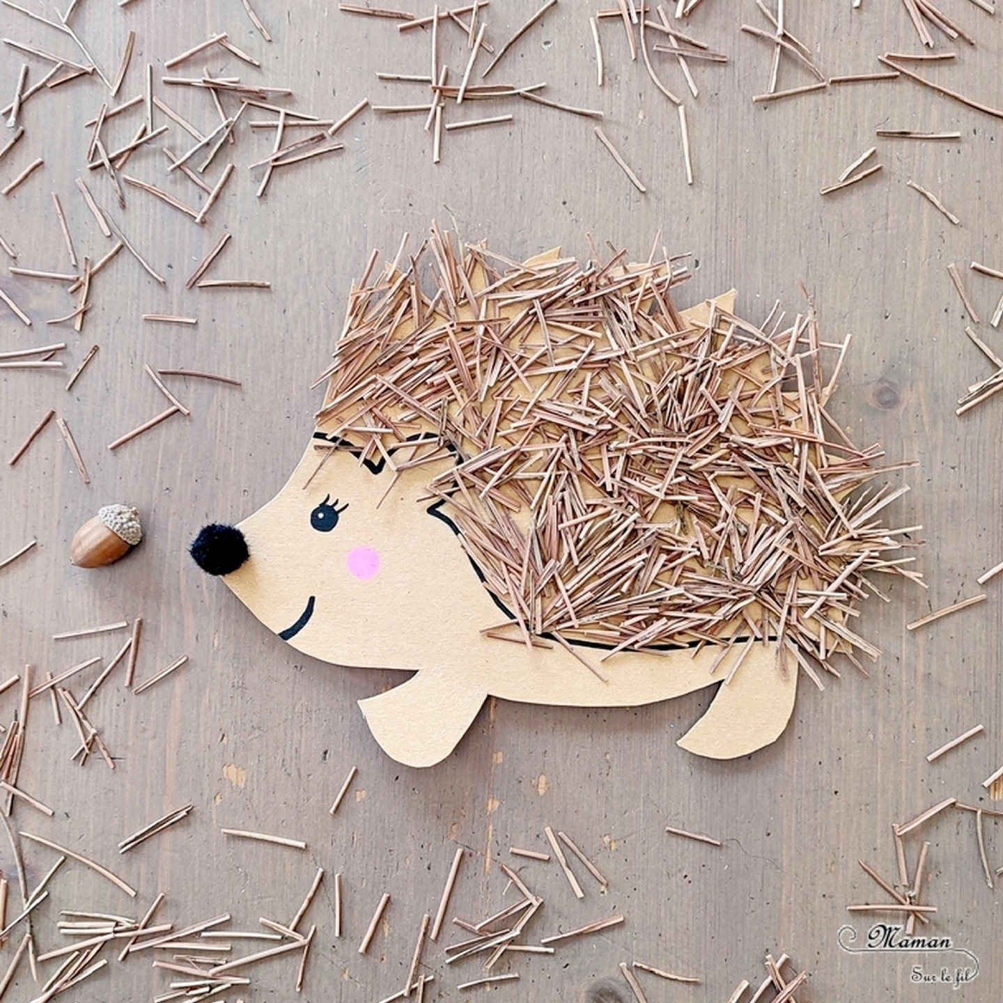 Hedgehog Nature Craft