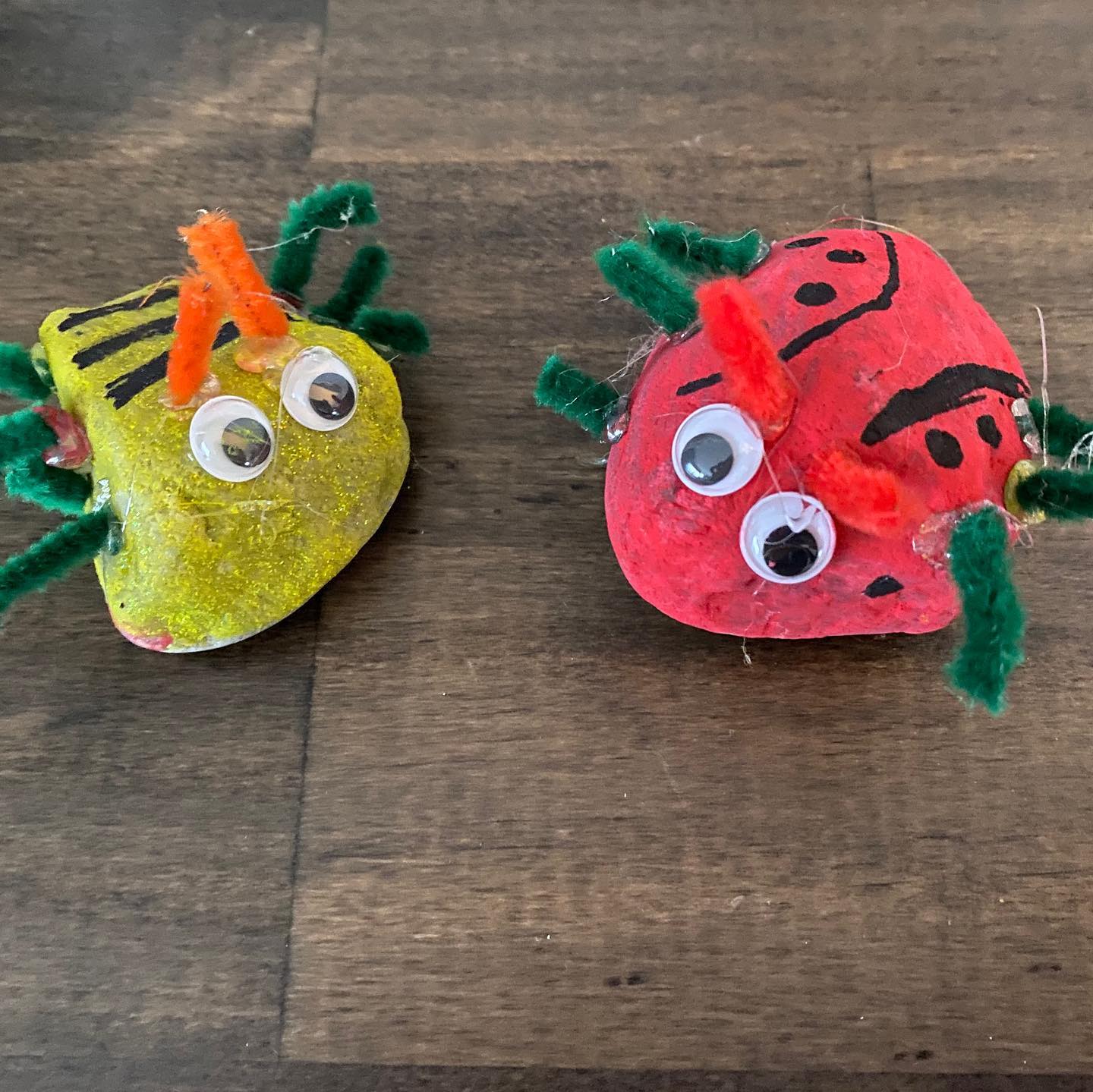 Stone Bug Craft