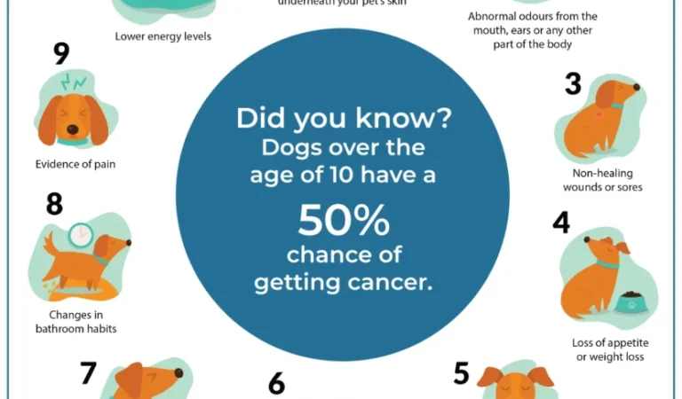 10 Early Warning Signs of Cancer in Dogs Every Pet Owner Should Know 10 Early Warning Signs of Cancer in Dogs Every Pet Owner Should Know