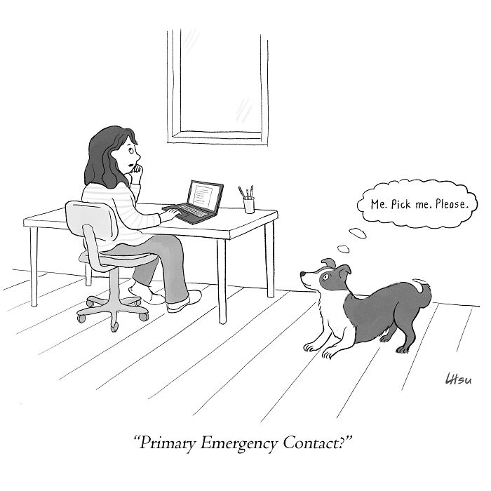A woman sits at a desk, looking puzzled as she fills out a form on her laptop. Her dog is at her feet, thinking,