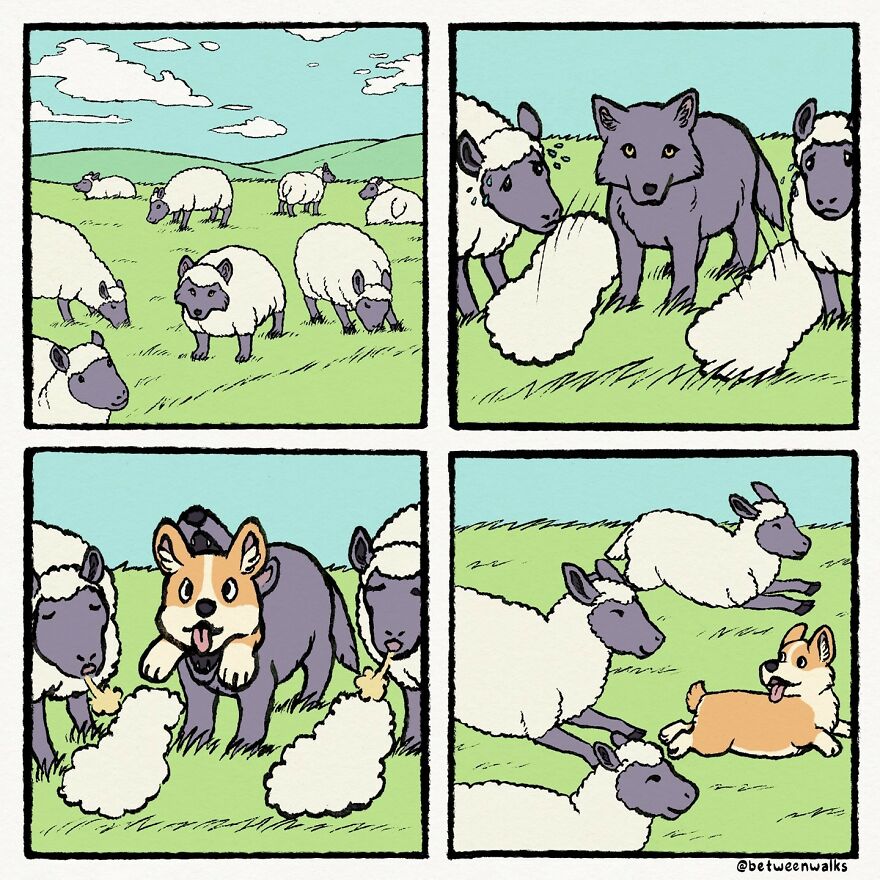 A corgi in a wolf costume tries to blend in with a group of sheep. The sheep observe, puzzled, as the corgi peeks out from the costume.