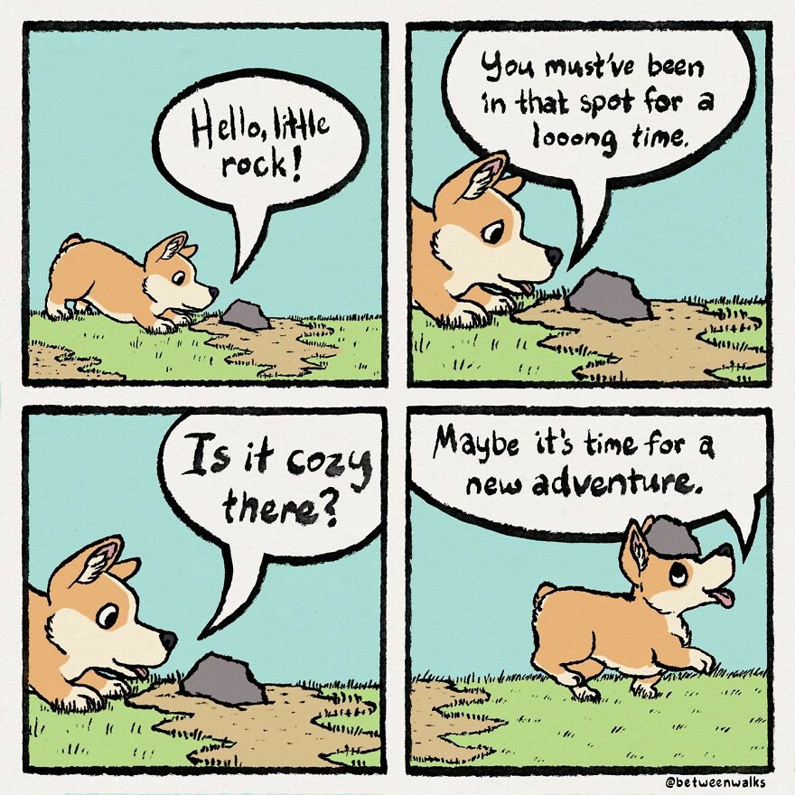 A corgi talks to a small rock, asking if it's comfortable and suggesting it might be time for an adventure.
