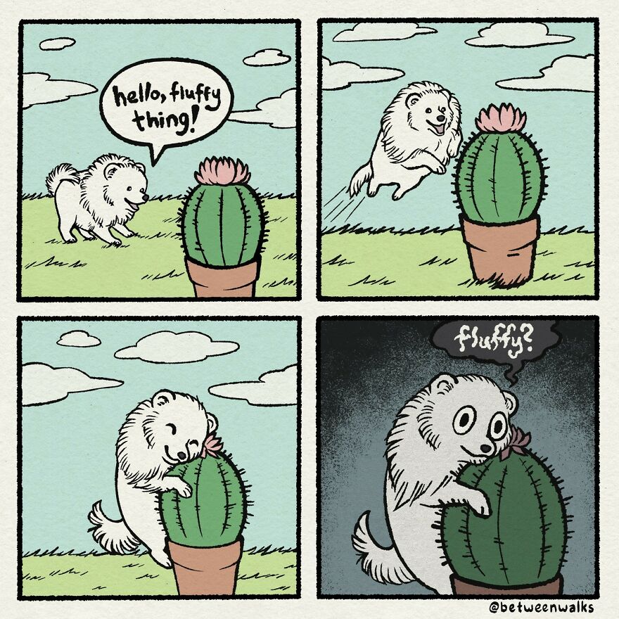 A small fluffy dog enthusiastically greets a cactus, thinking it’s another fluffy thing. The dog jumps towards the cactus, hugs it, and then realizes it’s prickly, not fluffy.