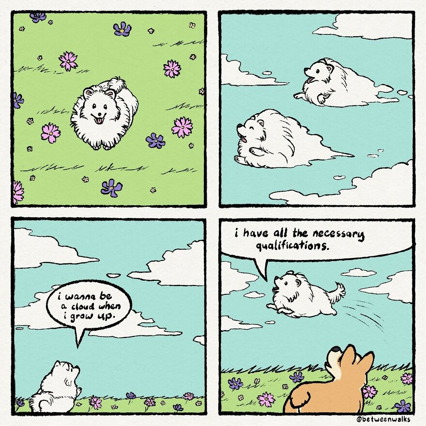 A fluffy dog lies in a field and imagines itself as a cloud. Another dog watches as the fluffy dog floats away like a cloud, thinking it has the right qualifications.
