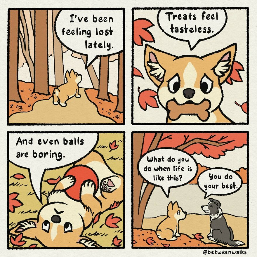 A small dog feels lost and uninterested in treats or toys. Another dog offers simple advice: