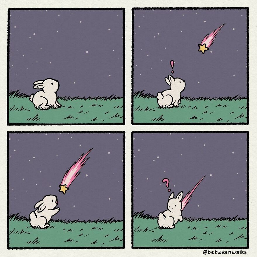 A cartoon bunny watches as a shooting star falls from the sky. The star lands nearby, leaving the bunny looking confused.