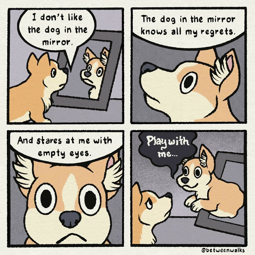A dog looks at its reflection in a mirror, thinking the reflection knows all its regrets. The reflection seems to request playtime.