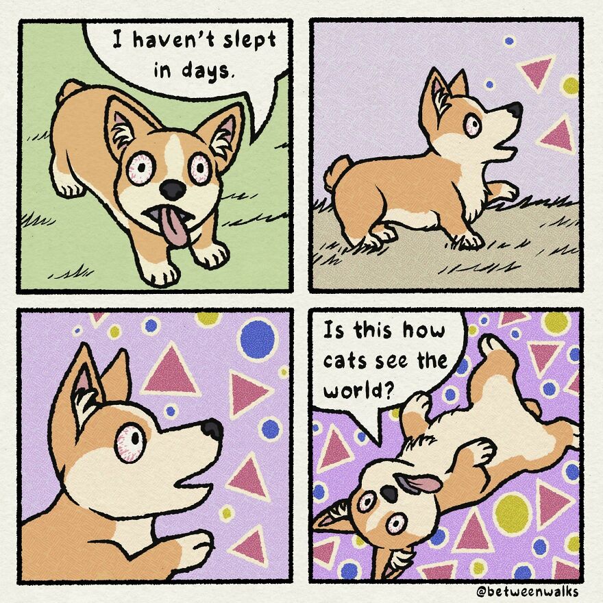 A cartoon dog with wide, tired eyes says it hasn't slept in days, then lies down amidst colorful shapes, wondering if this is how cats see the world.