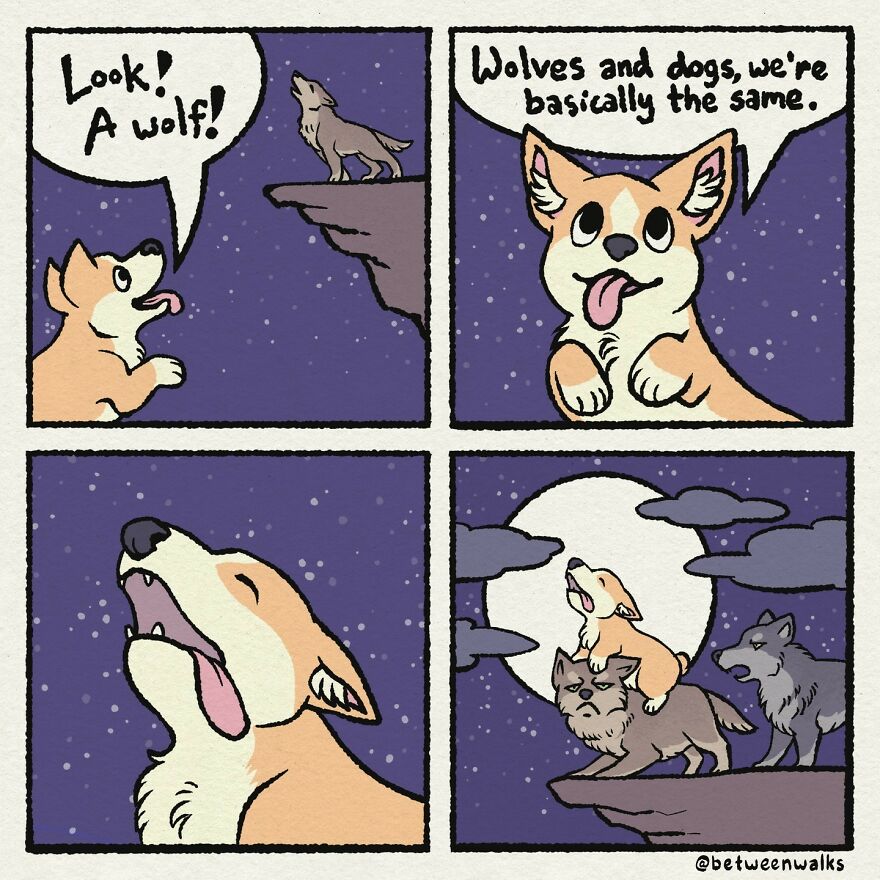 A Corgi sees a wolf on a cliff and imagines itself howling beside it. The Corgi looks happy and confident while standing among the wolves.