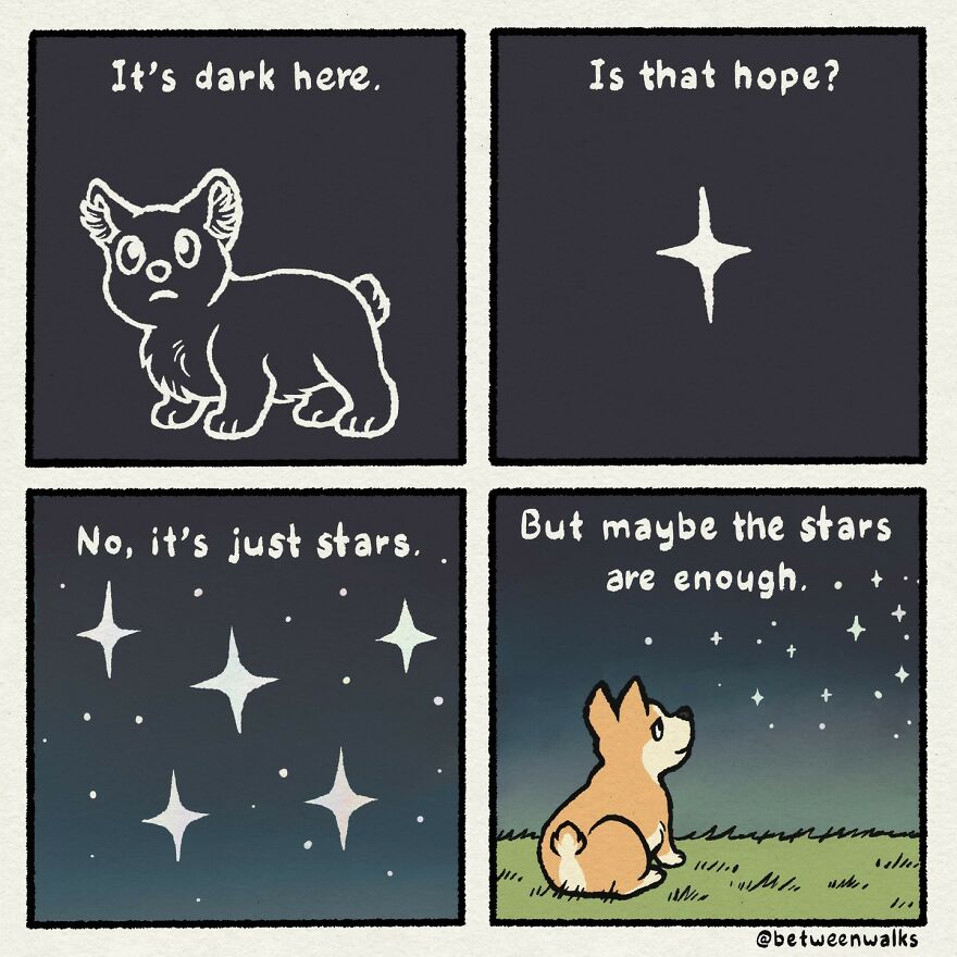 A small dog stands in darkness, looking at stars. It wonders if the stars are hope, then decides maybe the stars are enough.