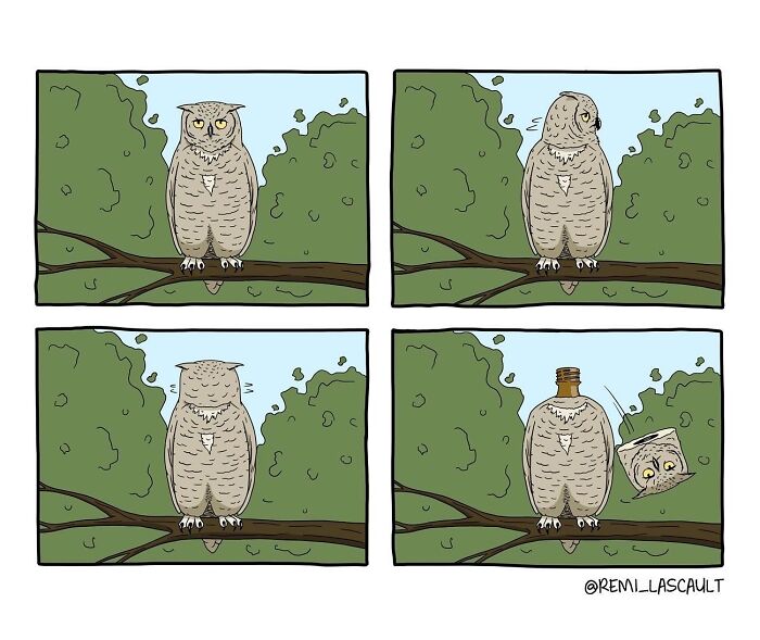A series of four comic panels showing an owl perched on a branch, revealing a small bottle hidden under its wing in the last panel.