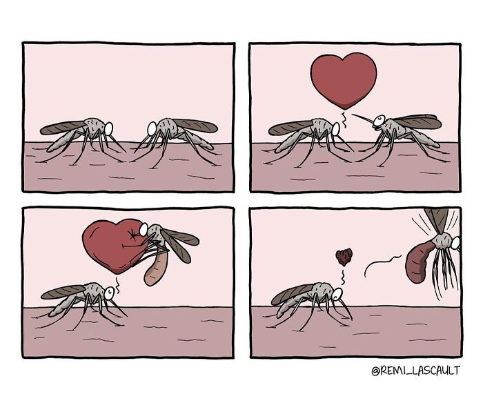 Two mosquitoes face each other; one has a heart bubble. The second mosquito steals and flies off with a heart-shaped object from the first.