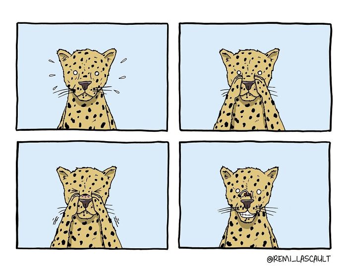 A leopard covers its eyes with its paws, then uncovers them and ends with a big smile, surprising itself.