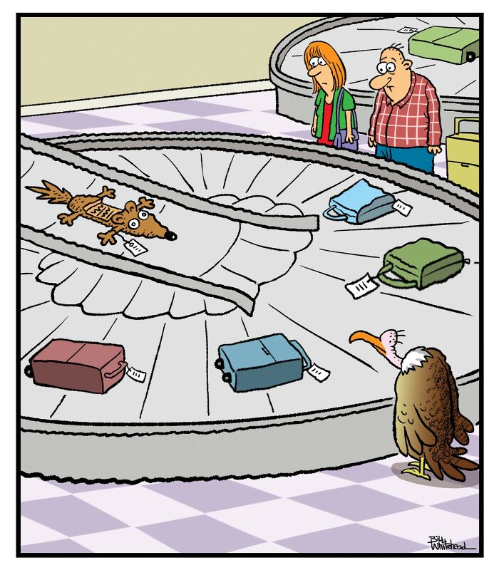 A cartoon shows a vulture looking at a baggage carousel where a flattened roadkill is rotating along with regular suitcases. Two onlookers stare in surprise.