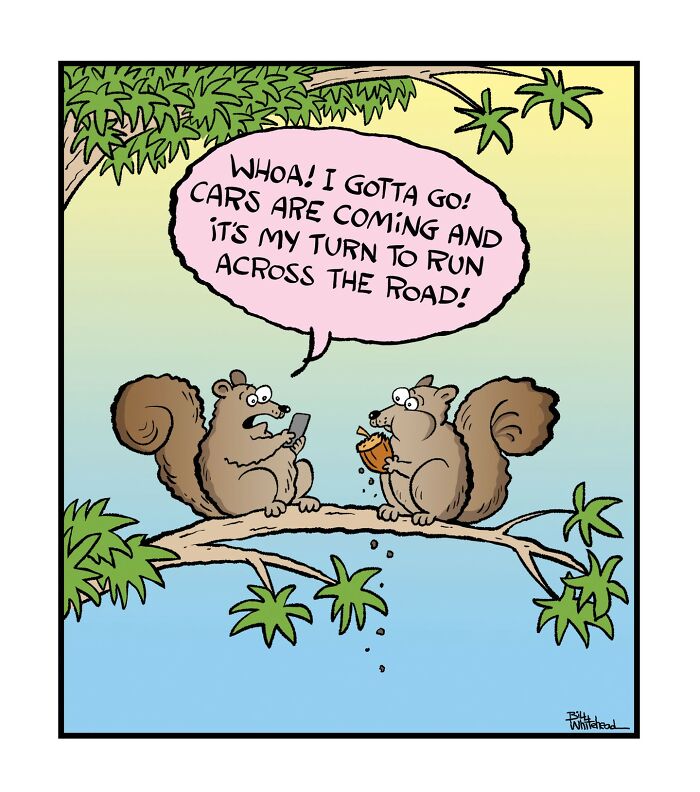 Two squirrels sit on a tree branch talking. One squirrel holds a phone and says it's their turn to run across the road as cars are coming, while the other squirrel holds a nut.