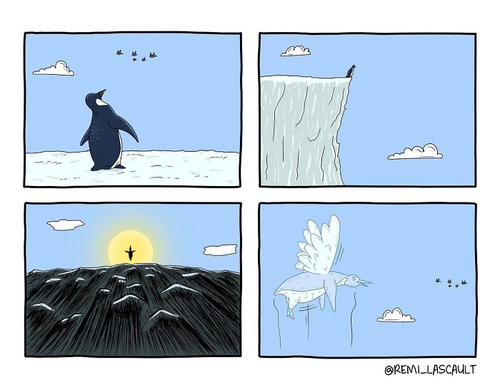 A penguin looks up at flying birds, then stands on a cliff. It jumps off, appearing to fly with wings.