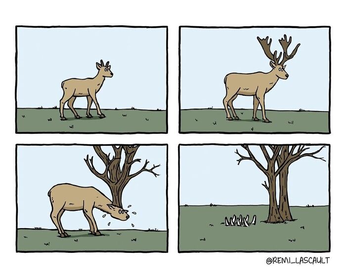 A young deer walks and develops large antlers, which fall off suddenly as it rubs its head against a tree.