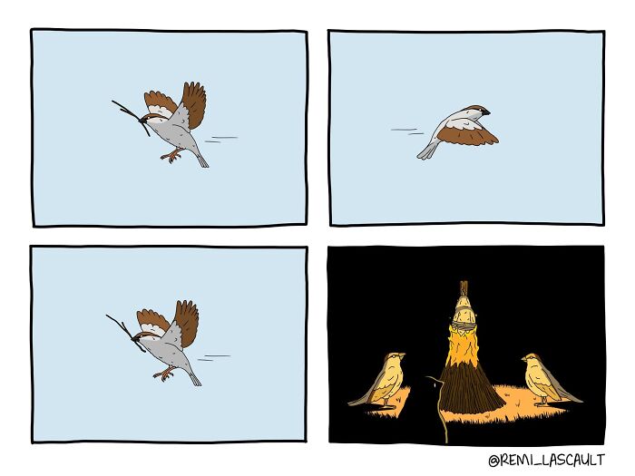 A bird flies with a stick, then two birds watch a pile of sticks catching on fire with a match on top.
