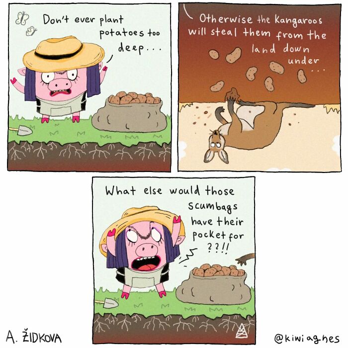 A comic strip features a pig character warning not to plant potatoes too deep, showing a kangaroo stealing potatoes and the pig expressing frustration over the kangaroo's actions.