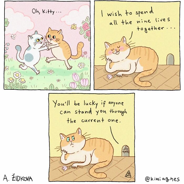 A comic shows a cat dreaming of spending nine lives with another cat, with a second panel revealing a mouse sarcastically commenting on the cat's current life.