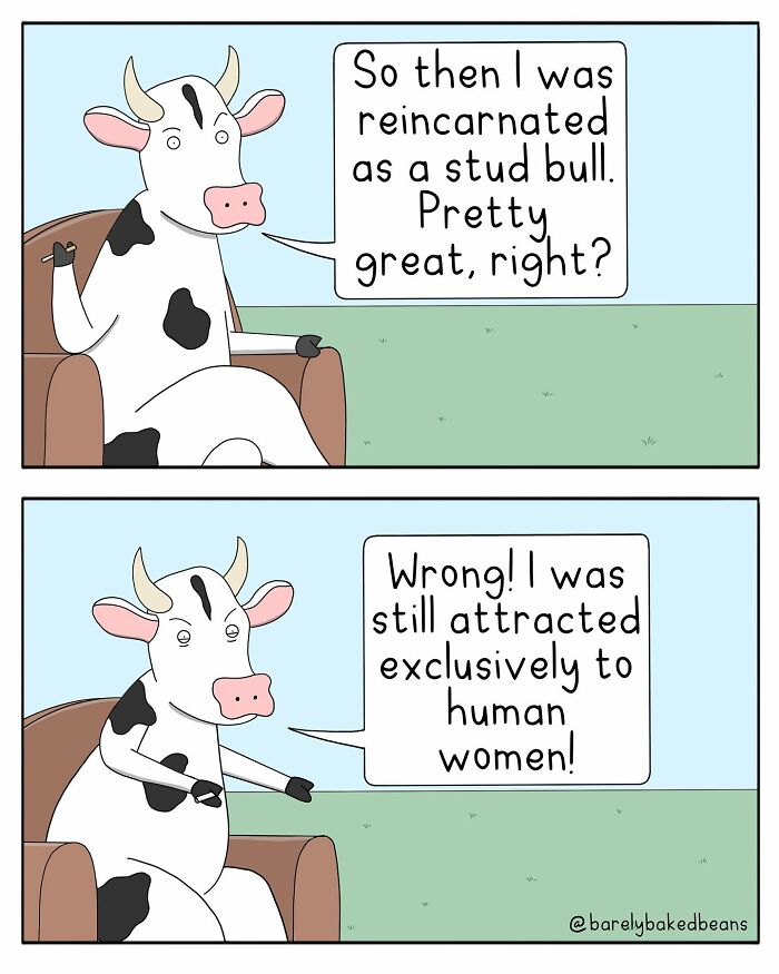 A cartoon cow is sitting on a chair, expressing disappointment. In the first panel, it discusses being reincarnated as a stud bull. In the second panel, it reveals an attraction only to human women.