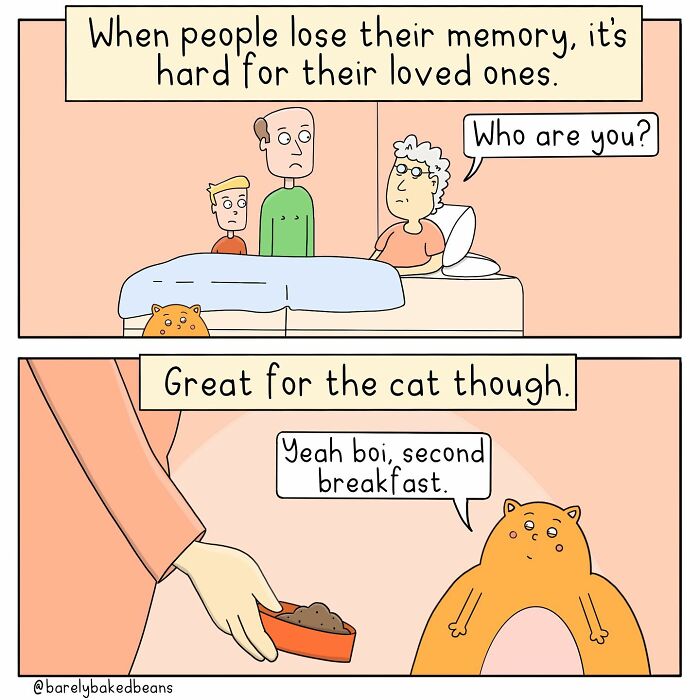 A hospital room scene shows a patient asking, 'Who are you?' to a visitor. In the next panel, a cat eagerly accepts a second meal, happy with the mix-up.